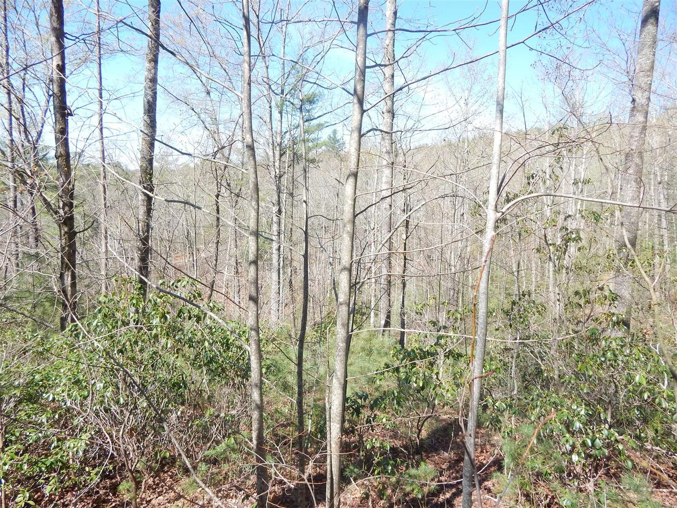 0 Furman Drive, Hendersonville, NC 28739